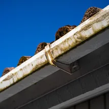 Cleaner clearing leaves and debris from roof gutters