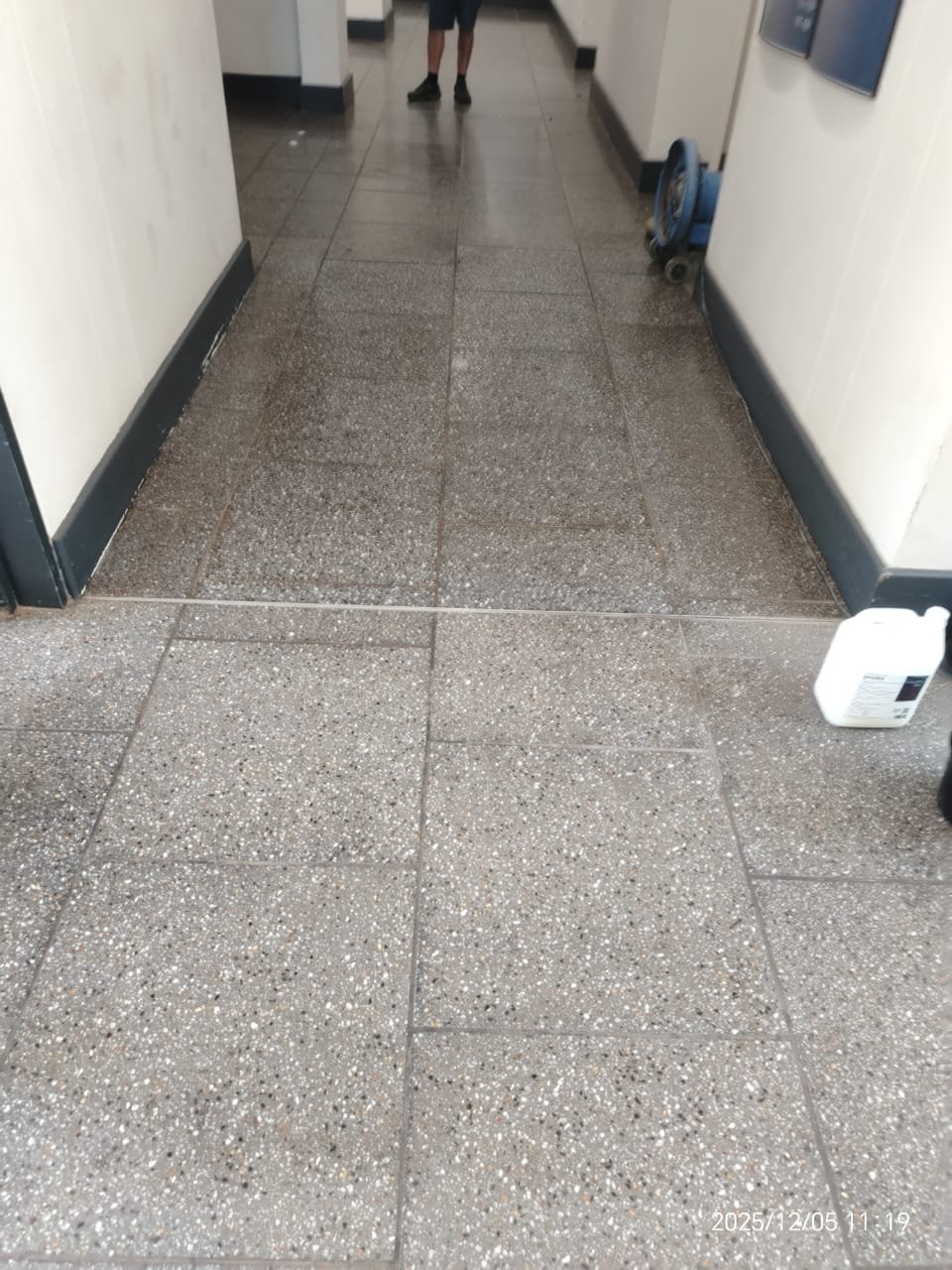 Terrazzo corridor restored to a clean, even shine
