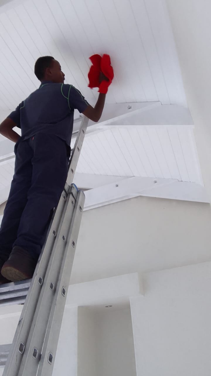 Ceilings and cornices dusted and wiped clean