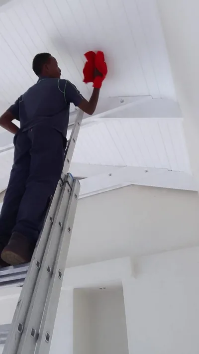 Ceilings and cornices dusted and wiped clean